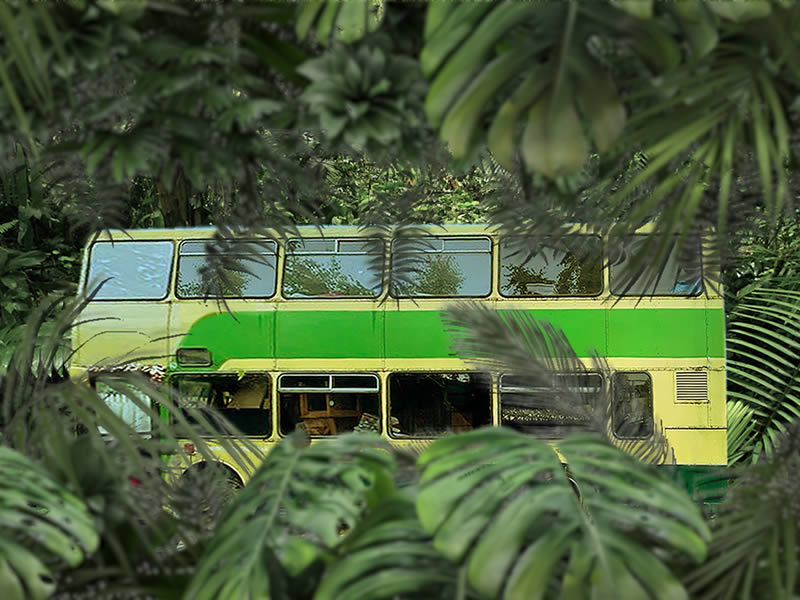 Jungle Bus
